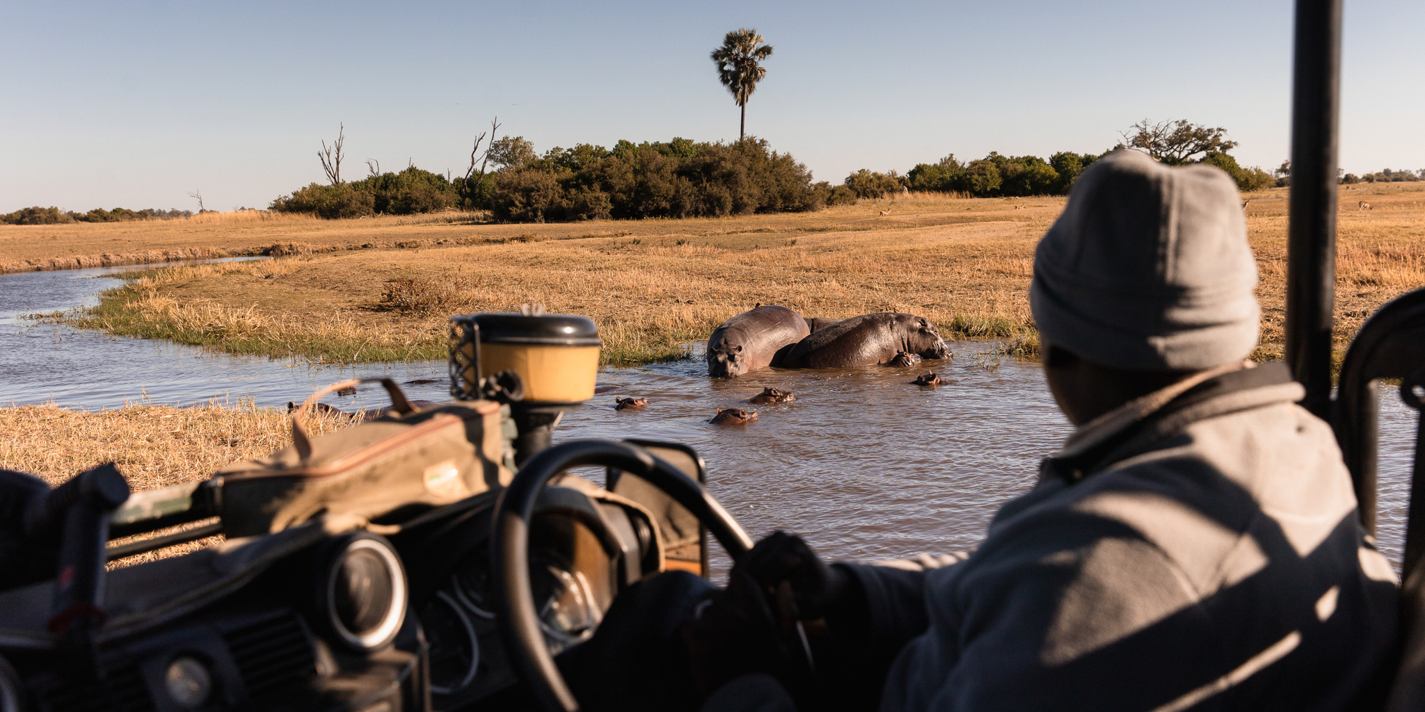 Game Drive, Wilderness Chitabe, Okavango Delta, Botswana