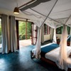Turaco Treetops lodge