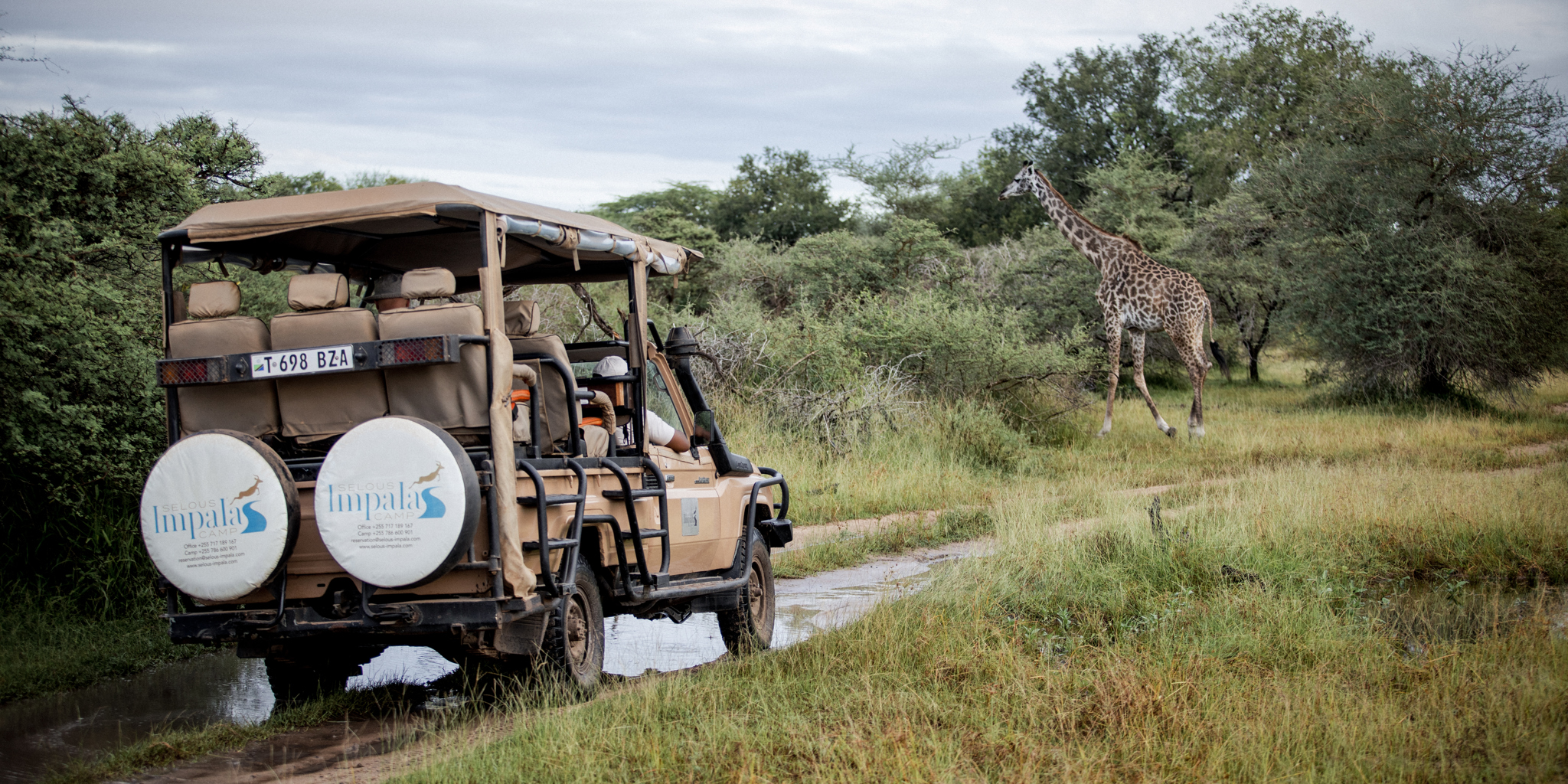 Game Drive, Selous Impala Camp, Nyerere, Tanzania
