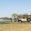 Game Drive 2, Sediba Sa Rona, Moremi Game Reserve, Botswana