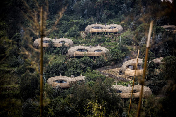 Exterior, Wilderness Bisate, Volcanoes NP, Rwanda