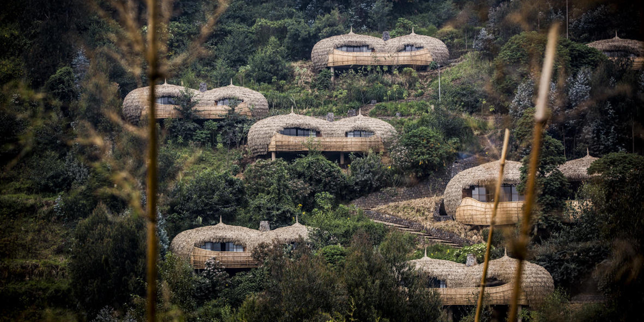 Exterior, Wilderness Bisate, Volcanoes NP, Rwanda