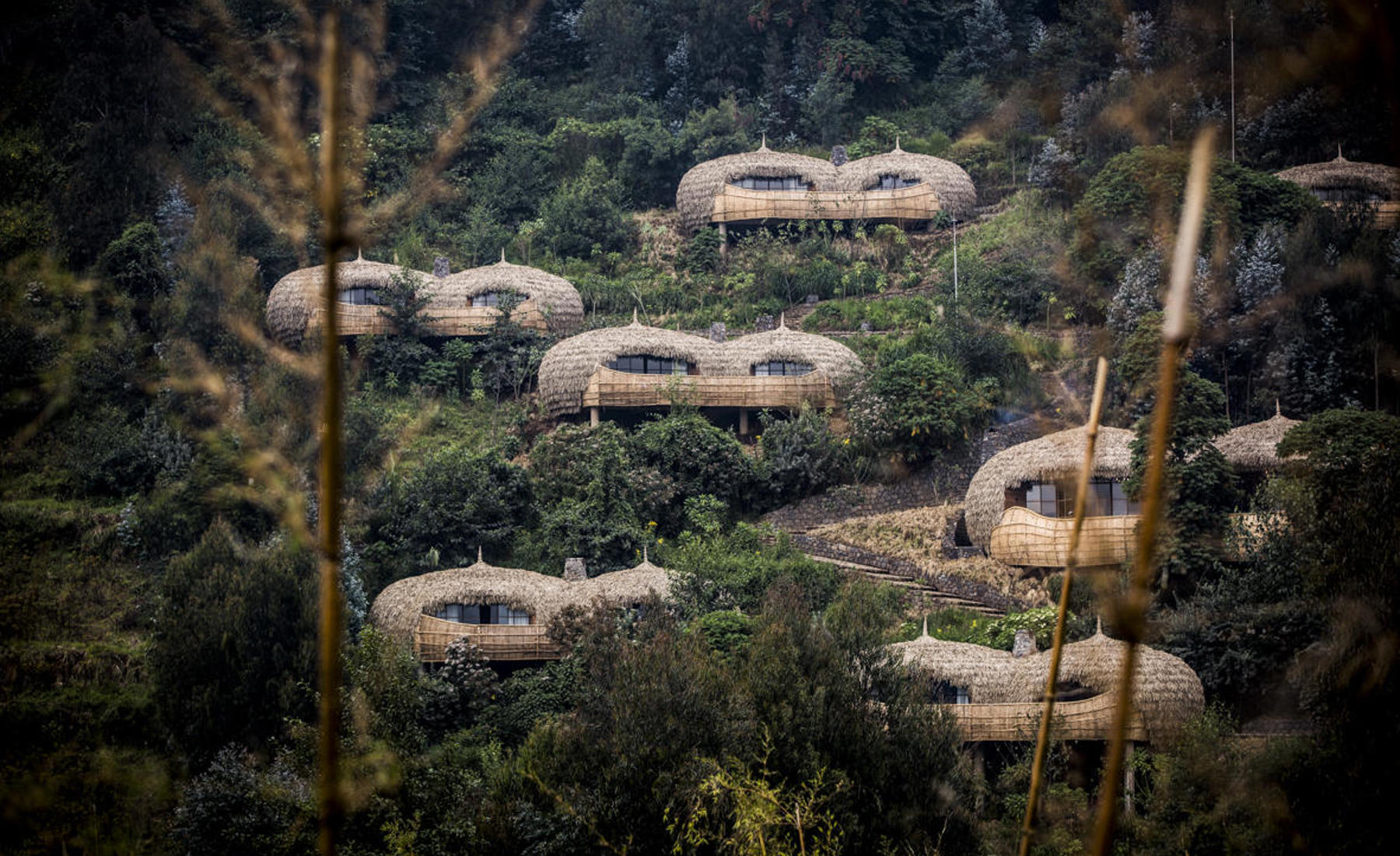 Exterior, Wilderness Bisate, Volcanoes NP, Rwanda