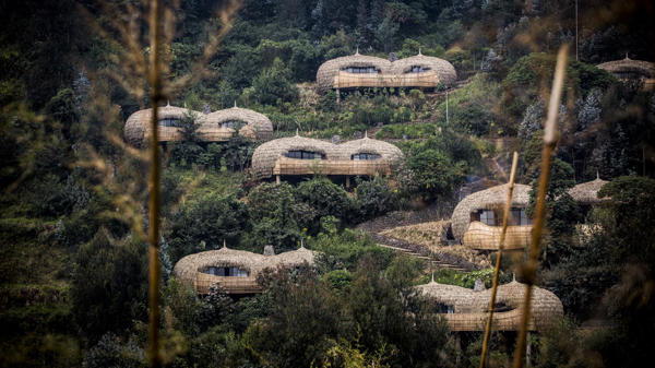 Exterior, Wilderness Bisate, Volcanoes NP, Rwanda