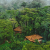 Exterior, Sanctuary Gorilla Forest, Bwindi, Uganda