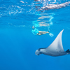 Snorkelling, Alphonse Island, Seychelles