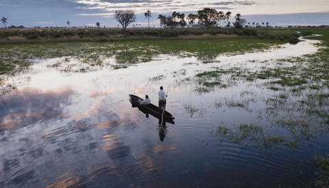 Mokoro, Wilderness Tubu Tree, Okavango Delta, Botswana