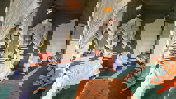 Tent, Nasikia Mobile Migration Camp, Serengeti, Tanzania