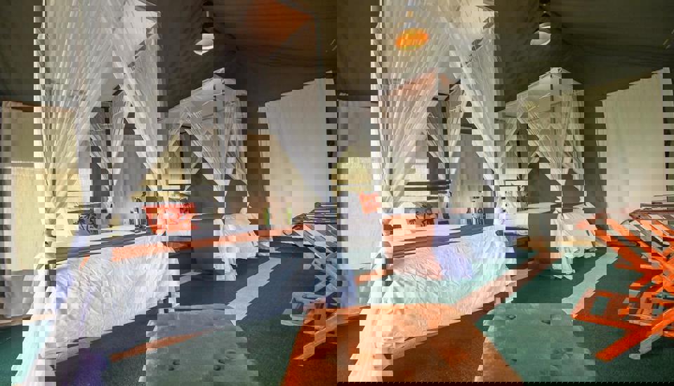 Tent, Nasikia Mobile Migration Camp, Serengeti, Tanzania