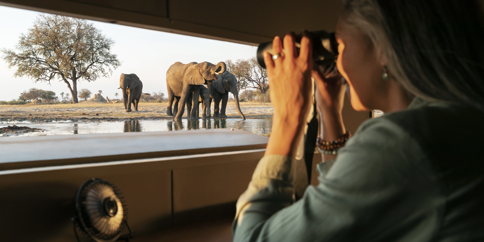 Hide, Linkwasha, Hwange National Park, Zimbabwe
