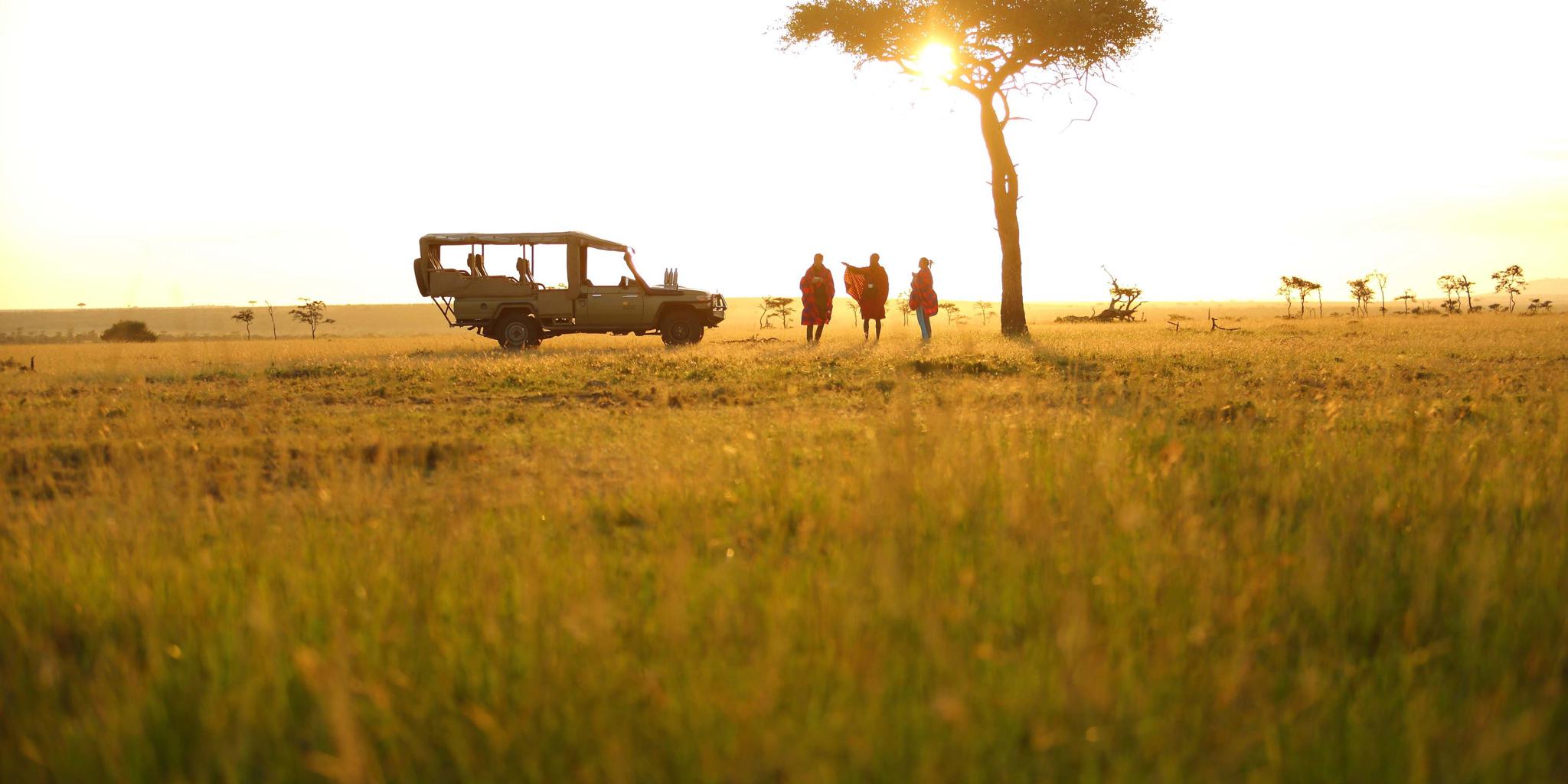 Game Drive 2, Basecamp Wilderness, Mara Conservancy, Kenya