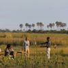Sundowners, Duma Tau, Linyanti, Botswana