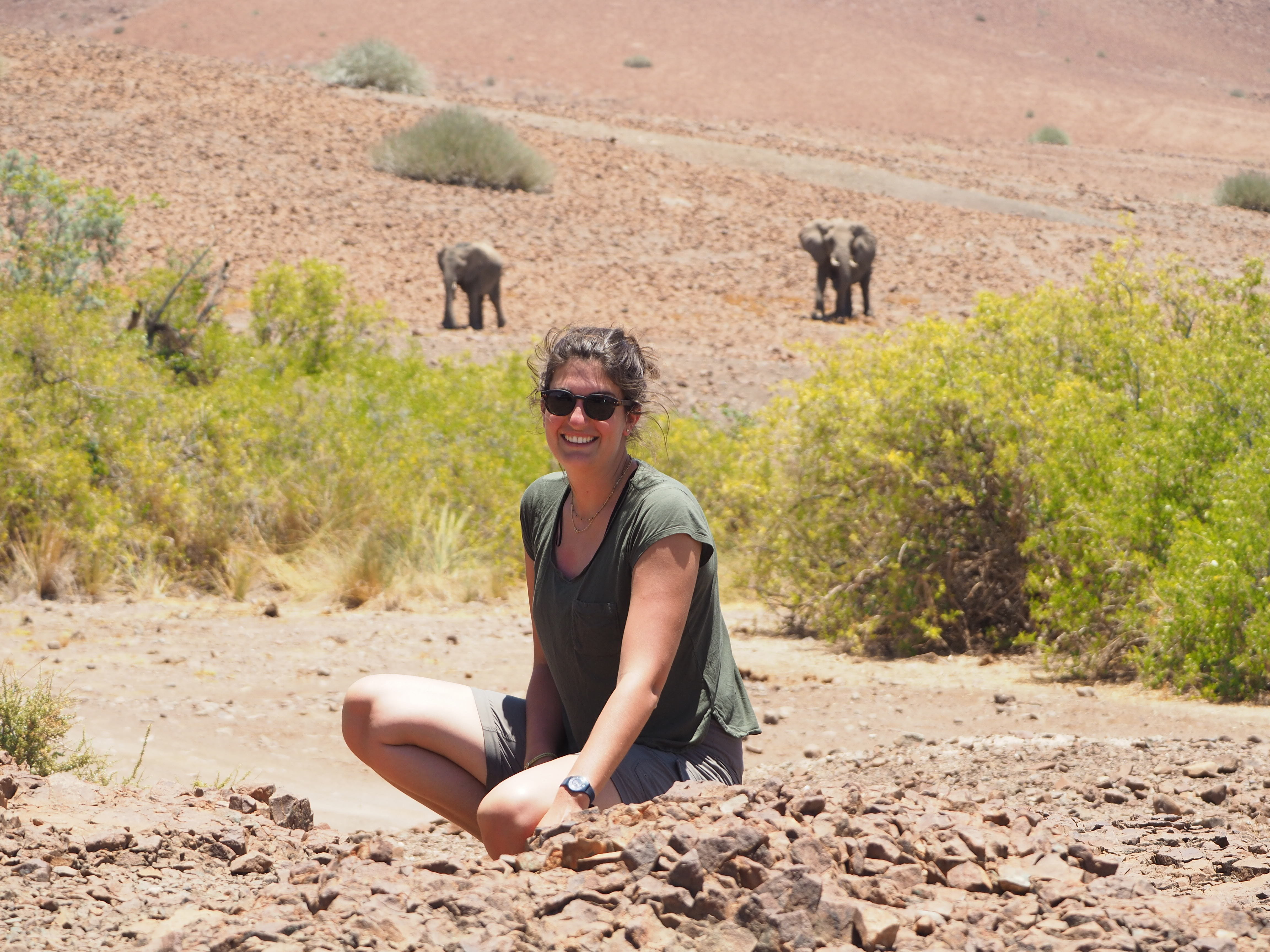 Nico on safari, elephants on the African plains