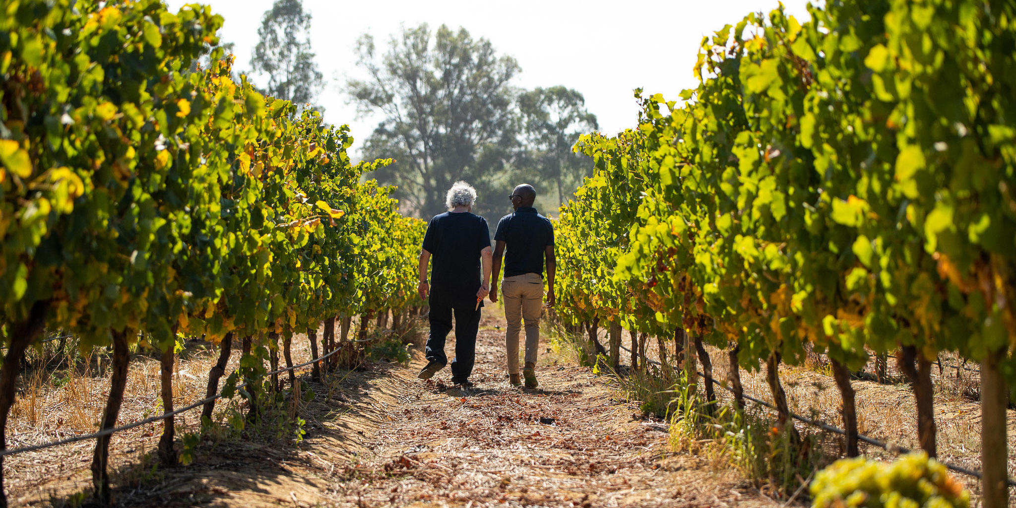 Winelands Experience, One&Only, Cape Town, South Africa