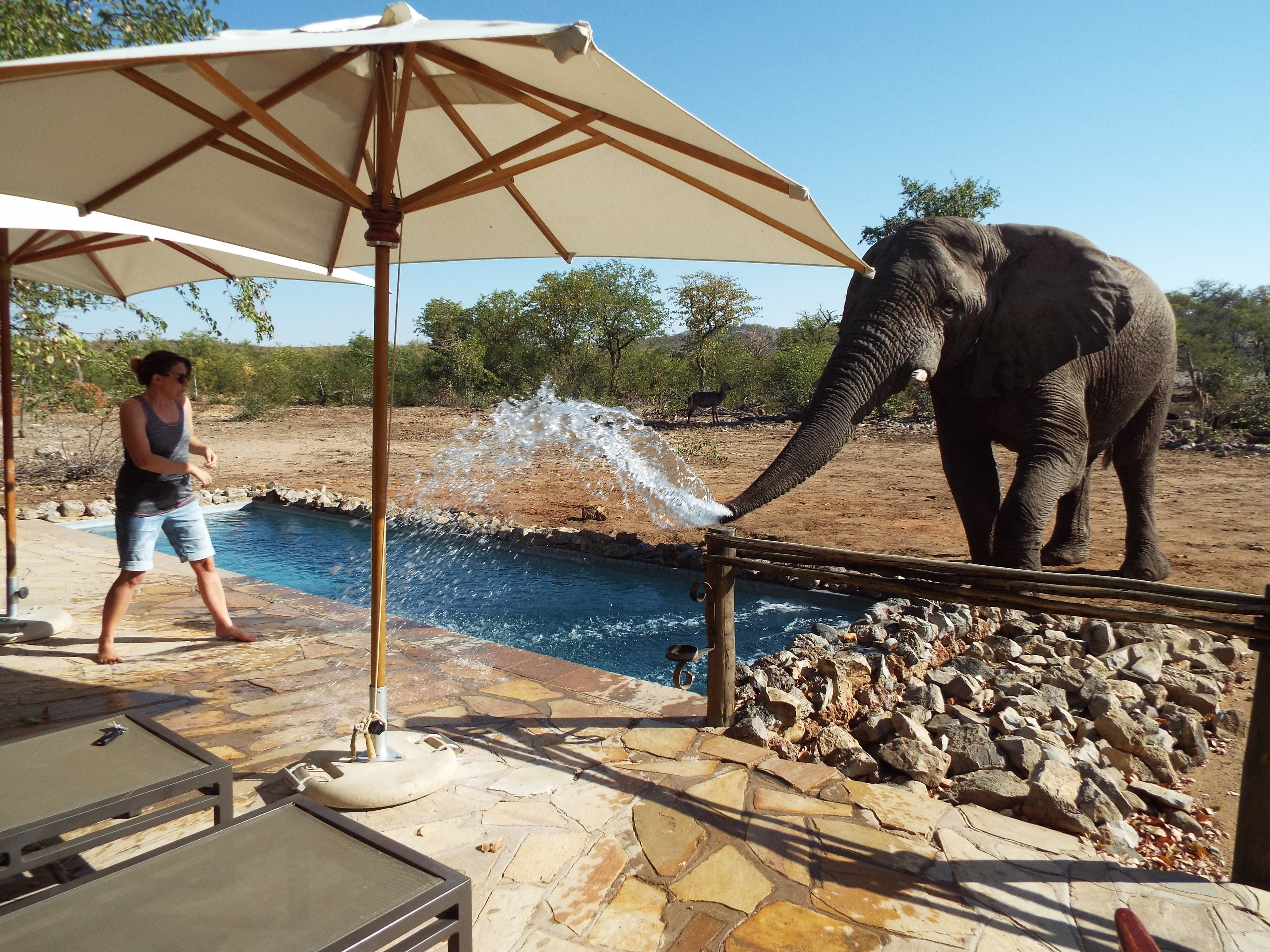 Jo at safari lodge by pool, elephant spray