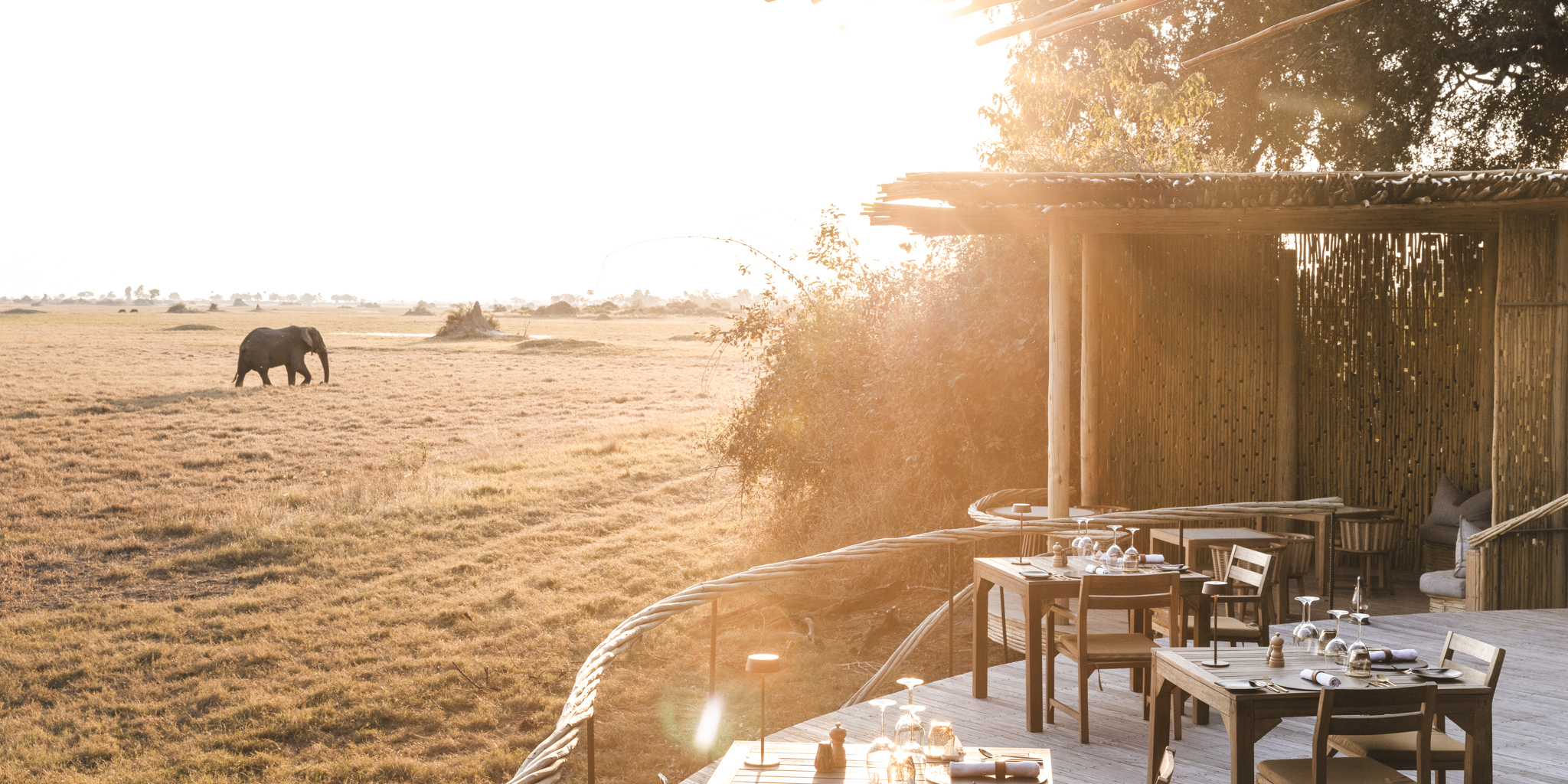Deck, Mombo, Moremi Game Reserve, Botswana