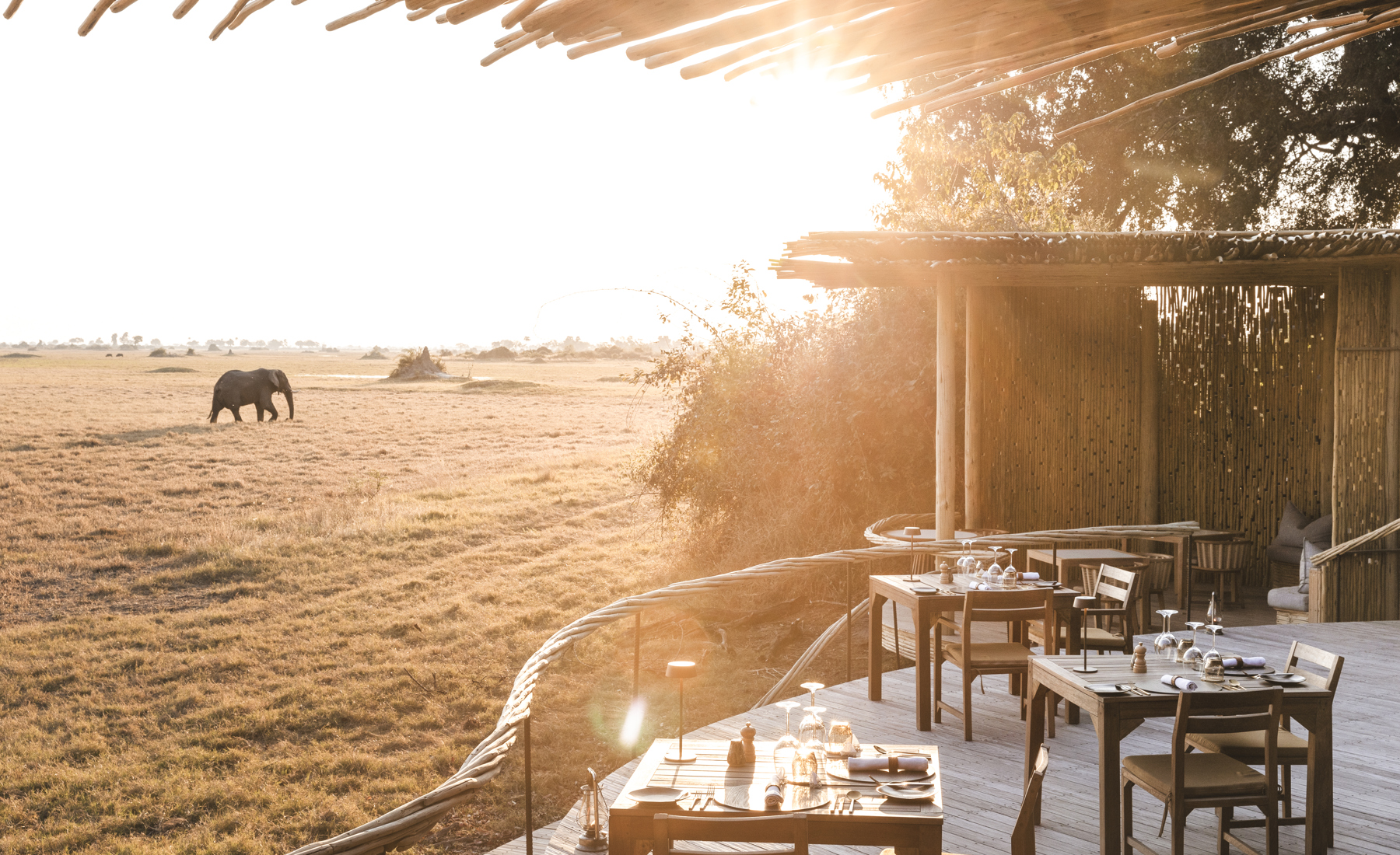Deck, Mombo, Moremi Game Reserve, Botswana