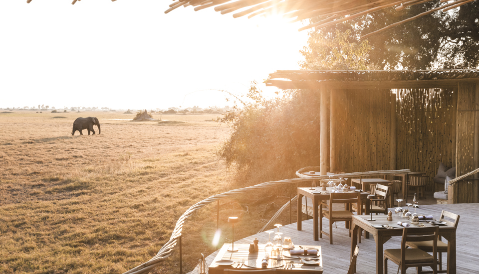Deck, Mombo, Moremi Game Reserve, Botswana