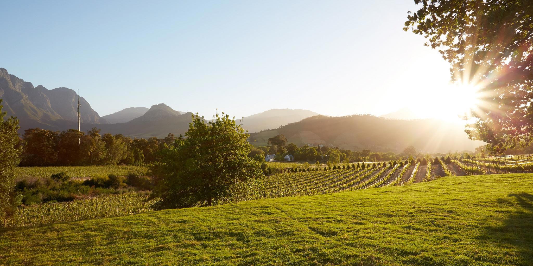 Winelands, La Cotte, Franschhoek, South Africa