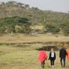 Walking Safari, Basecamp Wilderness, Mara Conservancy, Kenya