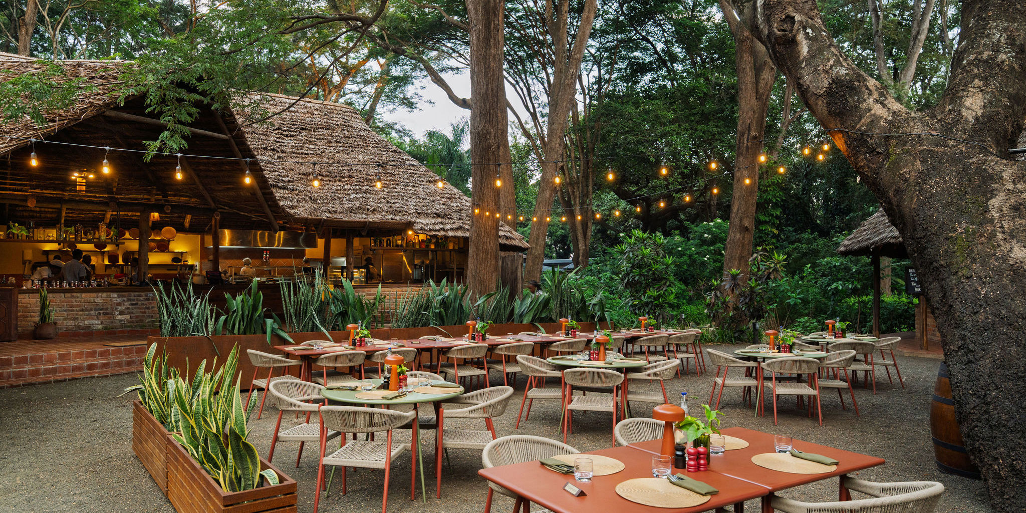 Bar Area, Rivertrees Country Inn, Arusha, Tanzania
