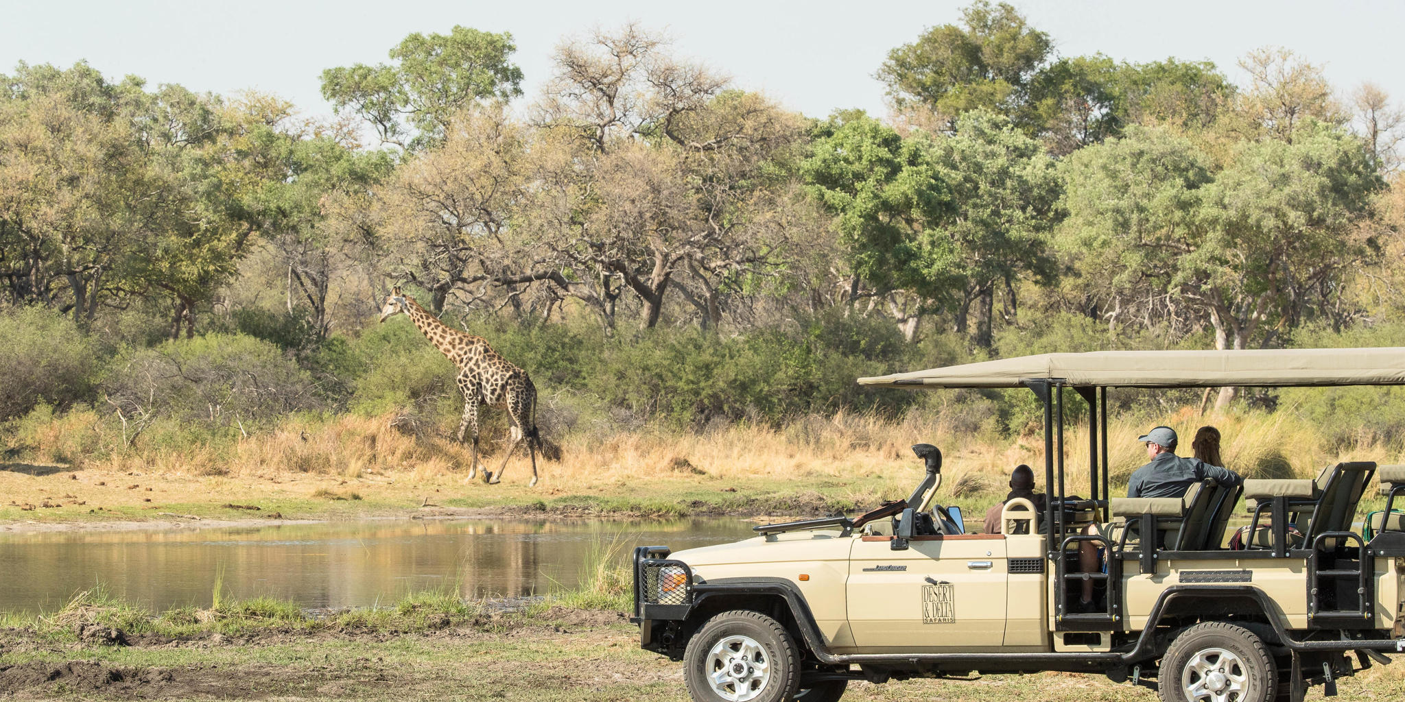 Game Drive, Moremi Camp, Moremi Game Reserve, Botswana