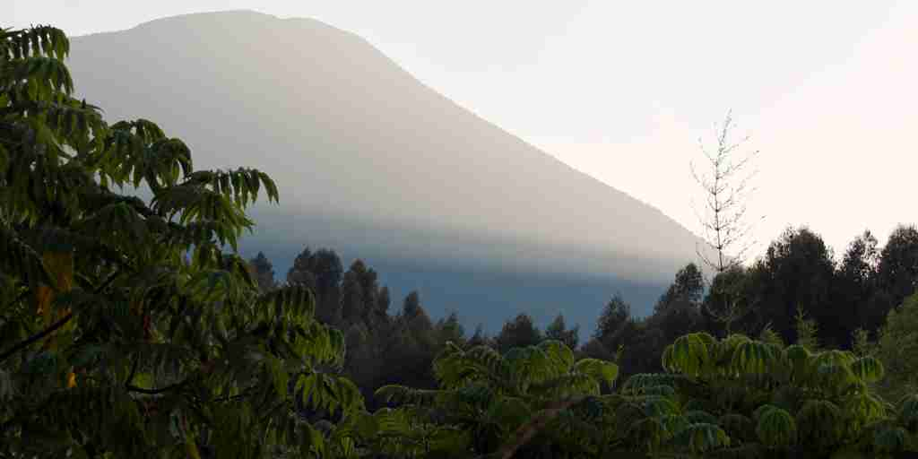 Treetops, Wilderness Bisate Reserve, Volcanoes NP, Rwanda