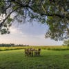 Outside Dinner, Elephant Pepper, Mara North Conservancy, Kenya