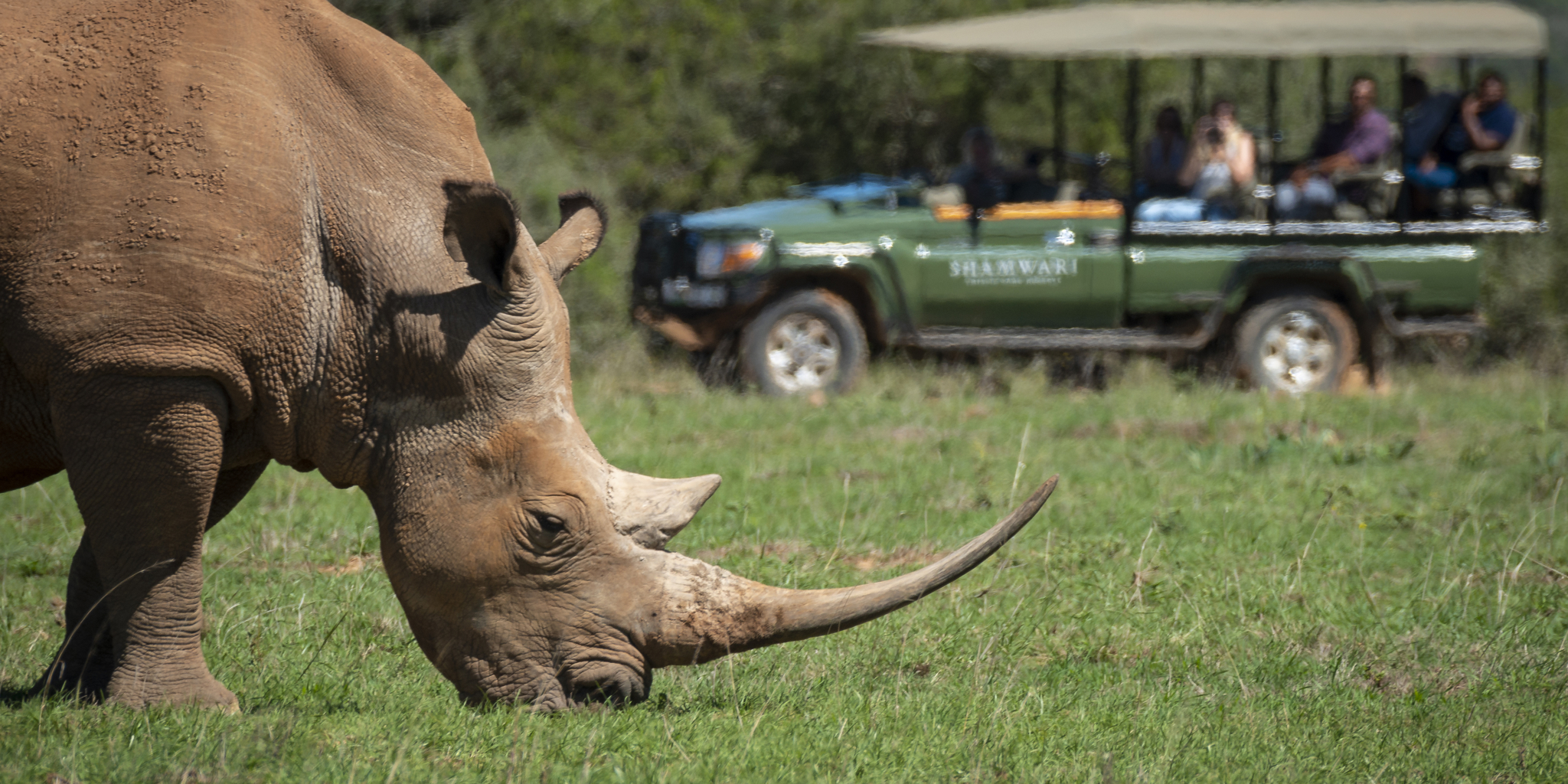Game Drive, Shamwari Bayethe, Shamwari, South Africa