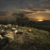 sundowners, nimali serengeti, serengeti np, tanzania