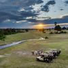 Game Drive, Tawana, Moremi Game Reserve, Botswana
