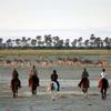 Horse Riding On The Pans, Camp Kalahari