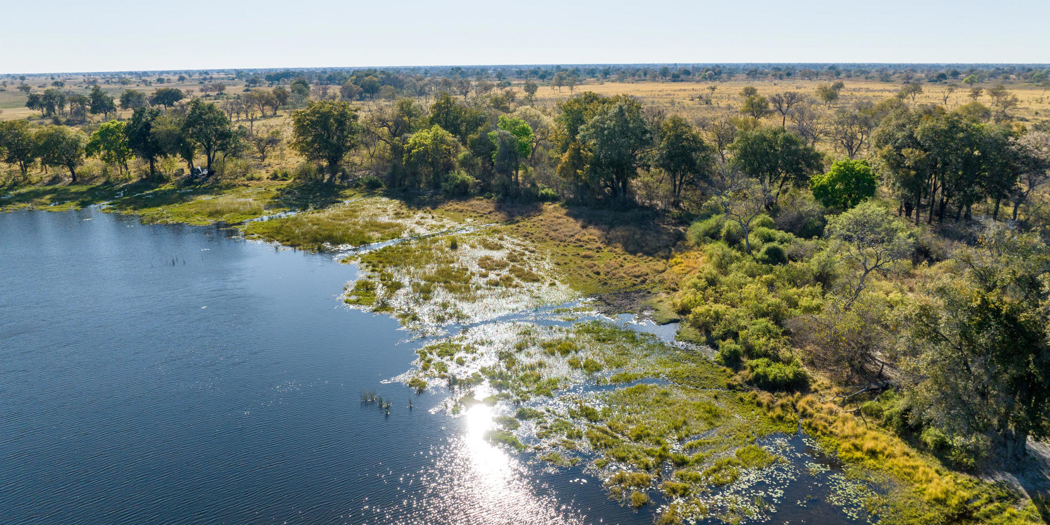 Aerial, Maxa, Okavango Delta, Botswana