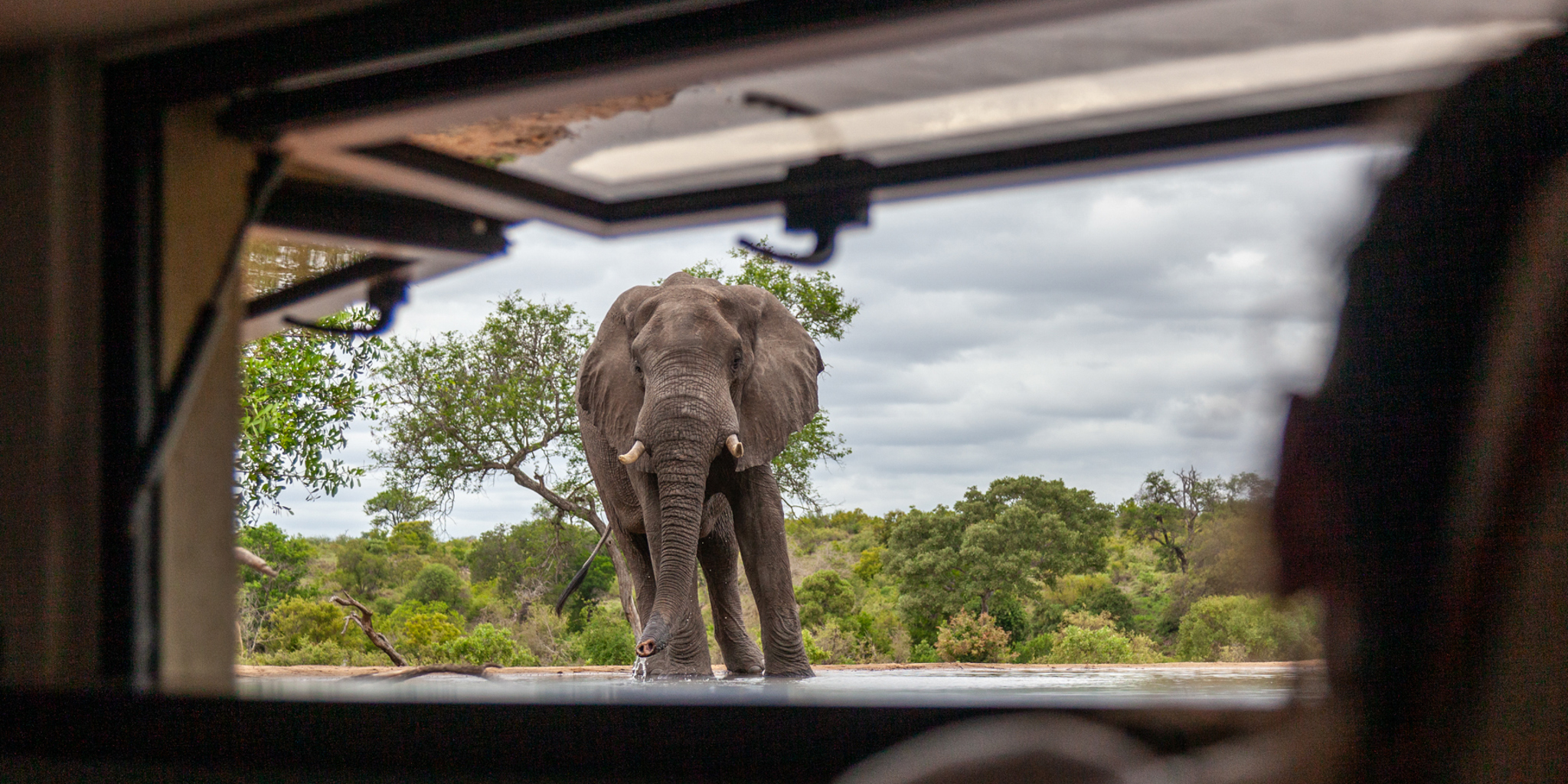 Hide, Kings Camp, Timbivati, South Africa