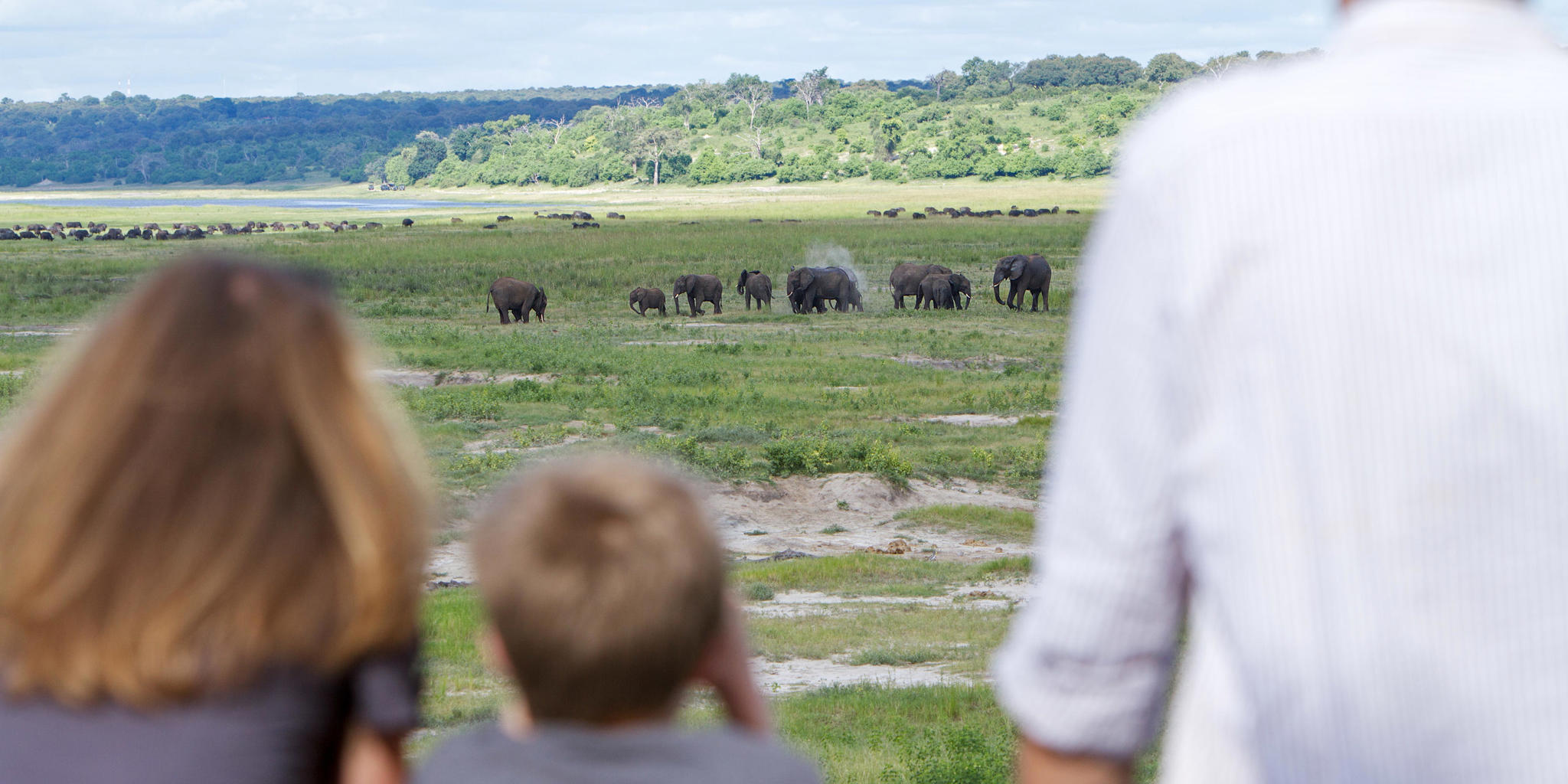 Game Viewing, Chobe Game Lodge, Chobe National Park, Botswana