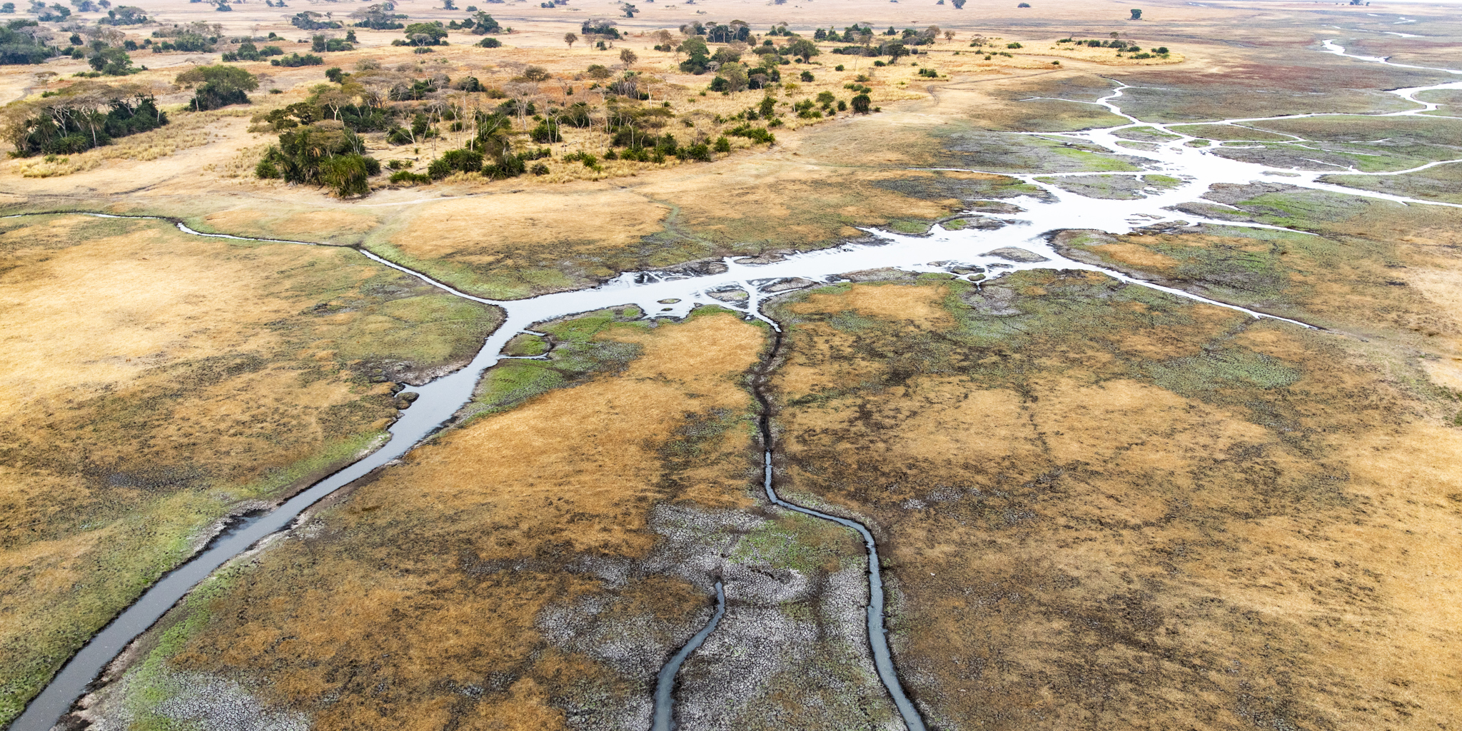 Aerial, Wilderness Busanga Bush Camp