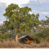 Exterior, Nkonzi Bush Camp, South Luangwa, Zambia