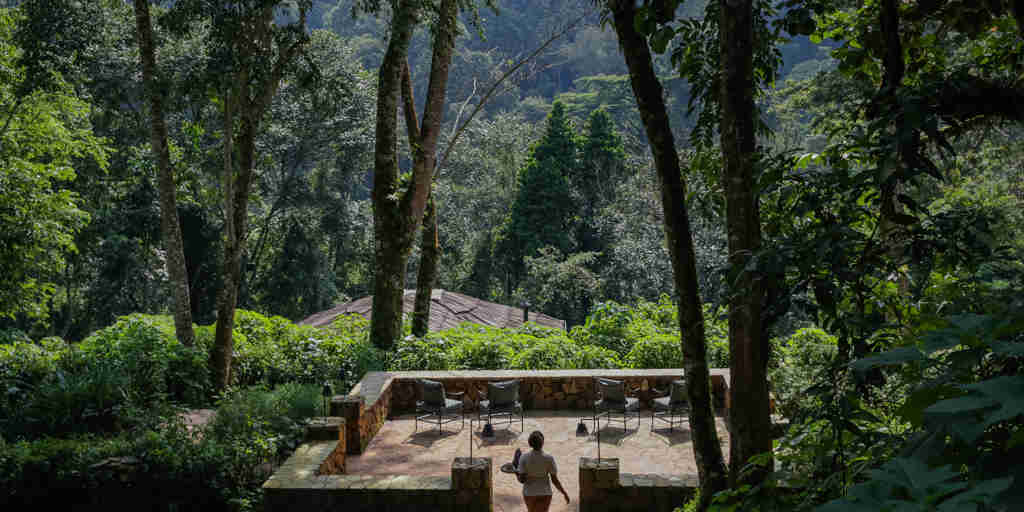 Garden, Bwindi Lodge, Queen Elizabeth Np, Uganda