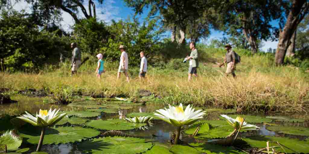 Walking, Sitatunga Private Island Camp, Okavango Delta, Botswana