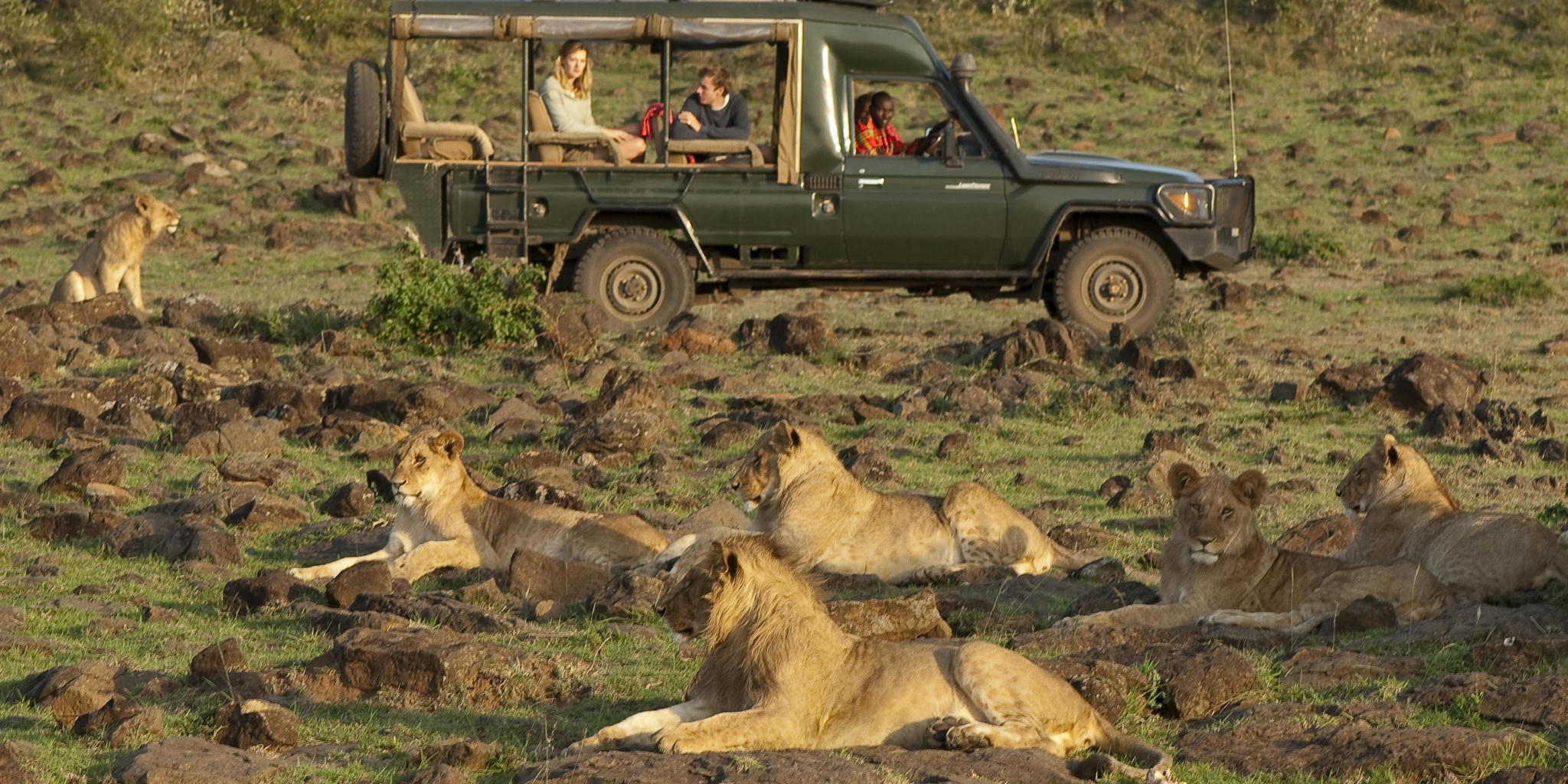 Game Drive, Offbeat Mara Camp, Maasai Mara, Kenya