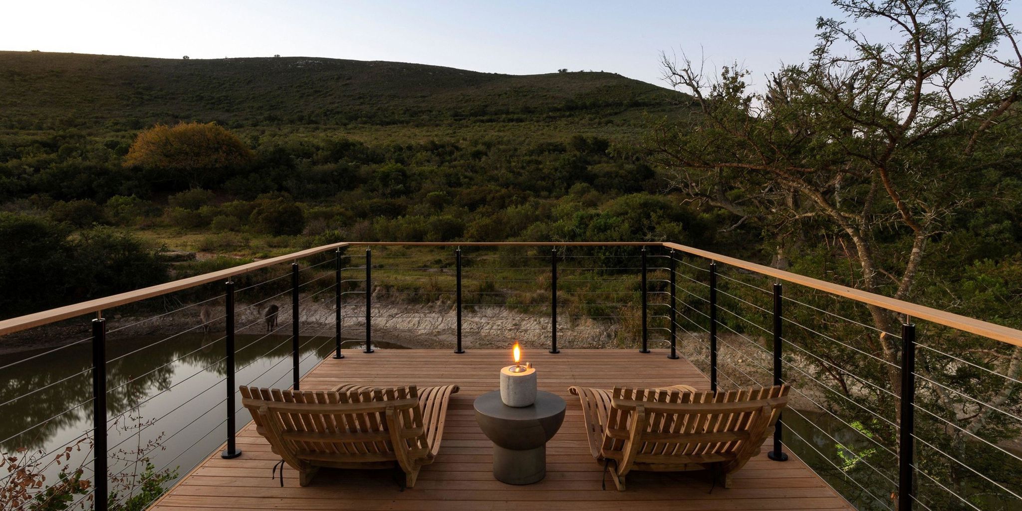 View, Shamwari Bayethe, Shamwari, South Africa