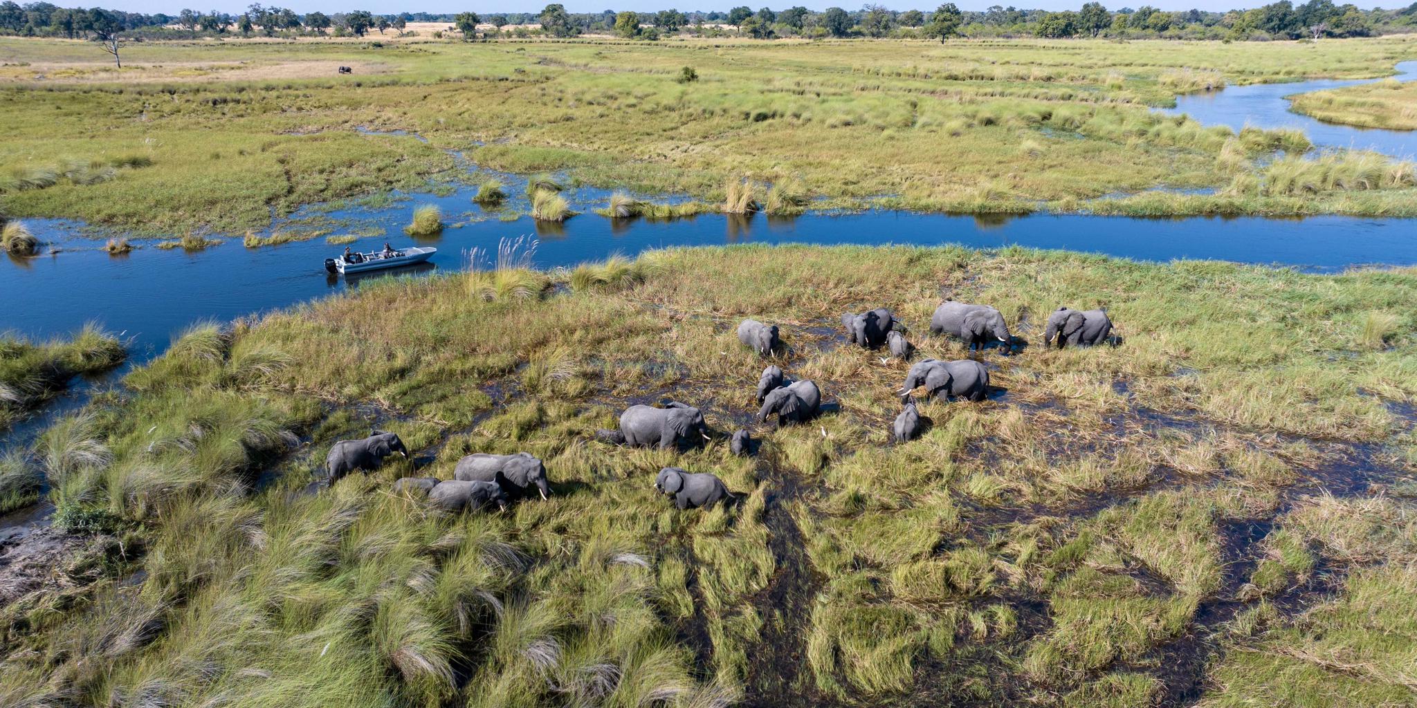 Boating, Duke's East Camp, Okavango Delta, Botswana