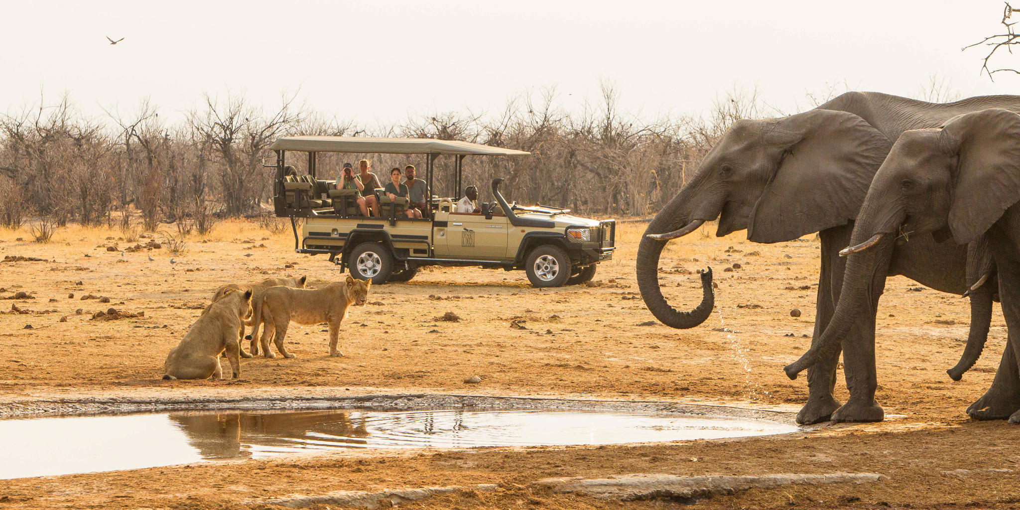 Game Drive, Savute Safari Lodge, Savute, Botswana