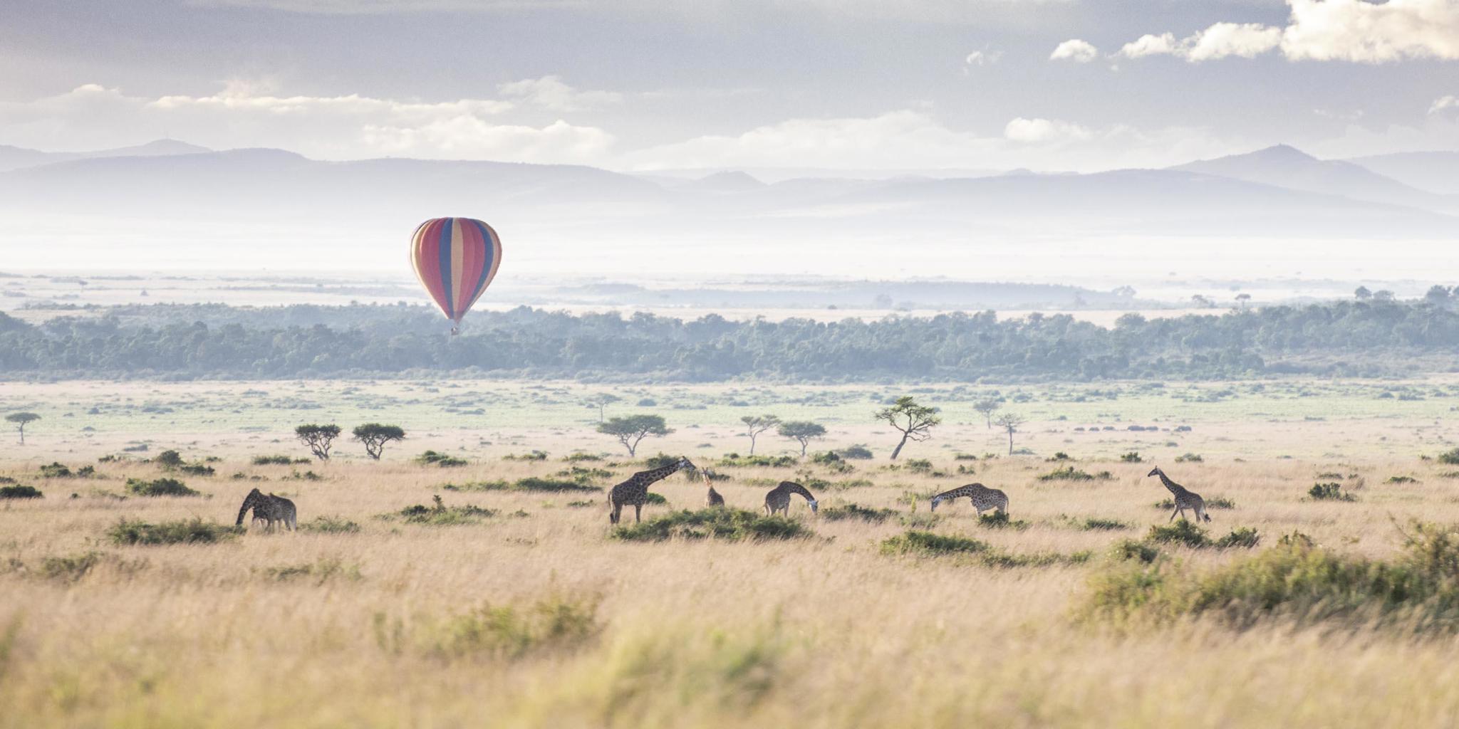 Air Balloon, Wilderness Mara, Maasai Mara National Reserve, Kenya