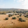 Horseriding, Lengishu, Lewa Borana Landscape, Kenya