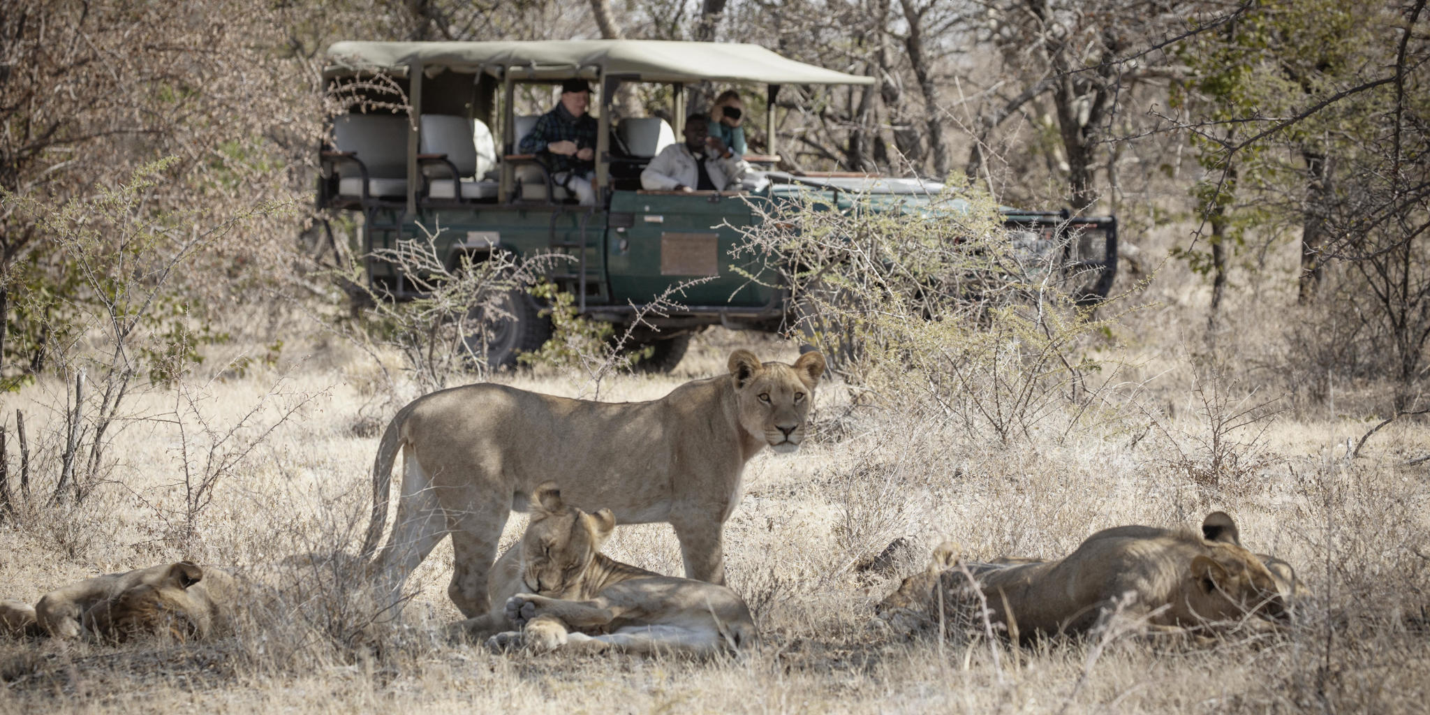 Game Drives, Camp Kalahari, Makgadikgadi Pans, Botswana