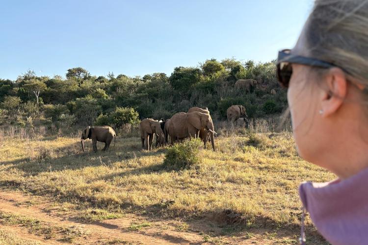Joview Laikipia Blackleopardblog