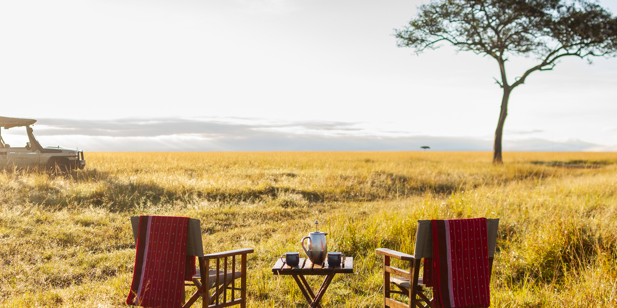 Bush Picnic, Naibor Camp, Maasai Mara Nature Reserve, Kenya