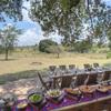 Bush Breakfast, Kicheche Mara, Greater Mara Conservancies, Kenya