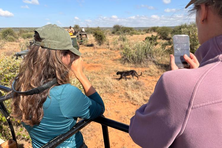 Vehiclesatsighting Laikipia Blackleopardblog